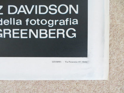 POP LEMON / LEMON POPSICLE 2 ITALIAN 2 FOGLIO POSTER YFTACH KATZUR A.ATZMON 1978 Rendezvous Cinema Movie posters