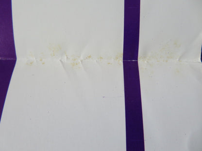 PORTRAIT US TRI FOLDED ONE SHEET ROLLED POSTER RITA DAVIS JAMIE GILLIS 1974 Rendezvous Cinema Movie posters