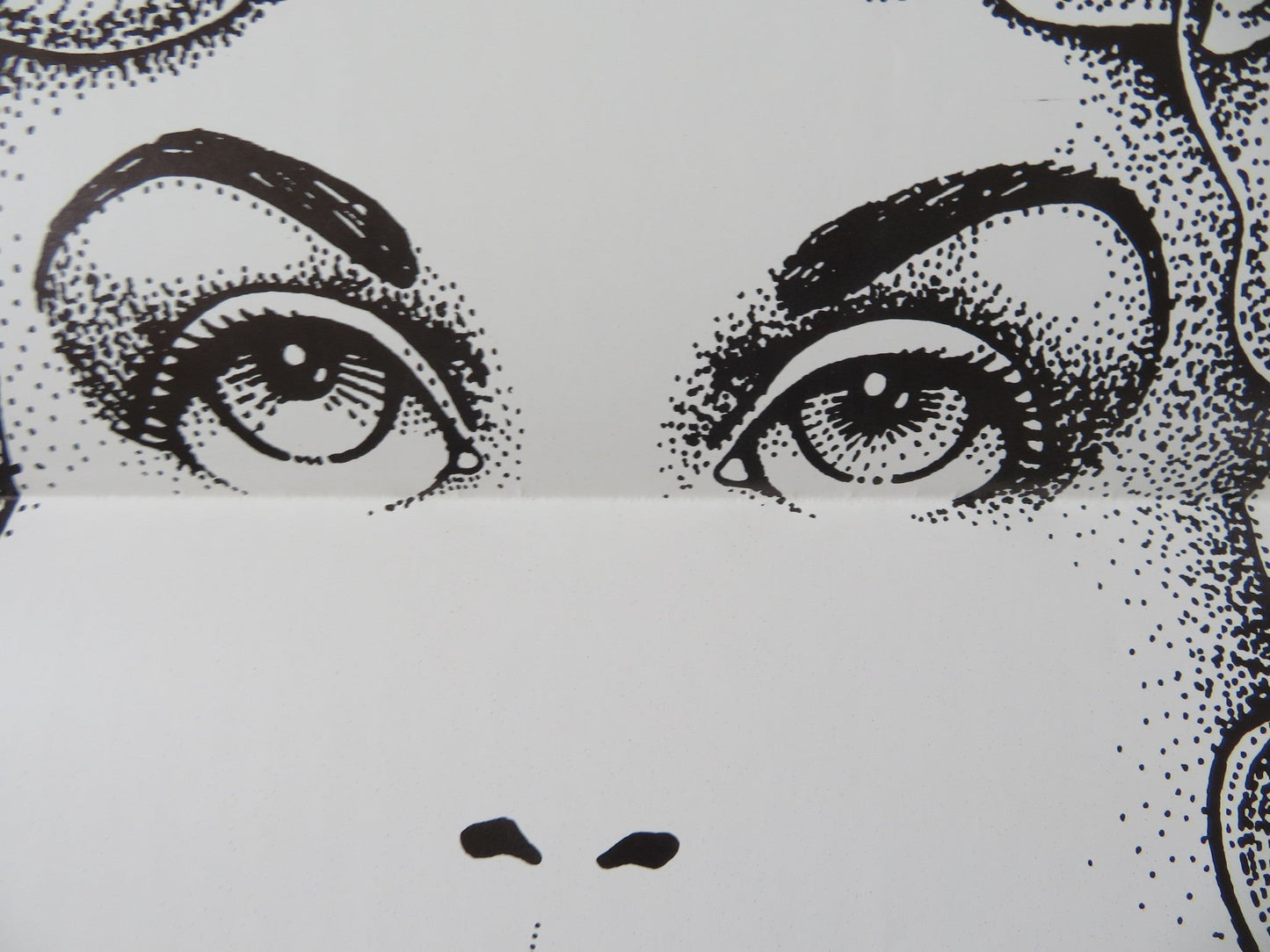 PORTRAIT US TRI FOLDED ONE SHEET ROLLED POSTER RITA DAVIS JAMIE GILLIS 1974 Rendezvous Cinema Movie posters