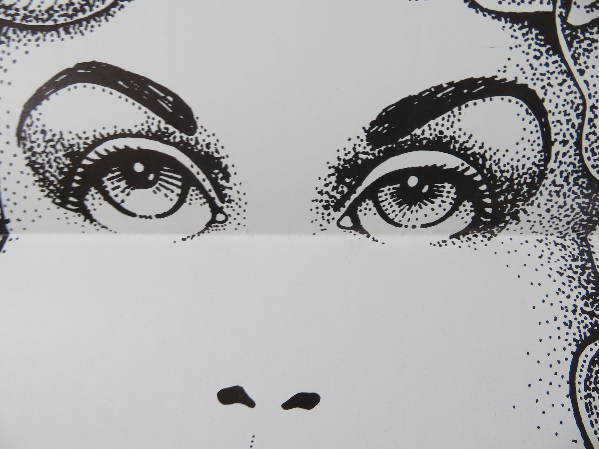 PORTRAIT US TRI FOLDED ONE SHEET ROLLED POSTER RITA DAVIS JAMIE GILLIS 1974 Rendezvous Cinema Movie posters