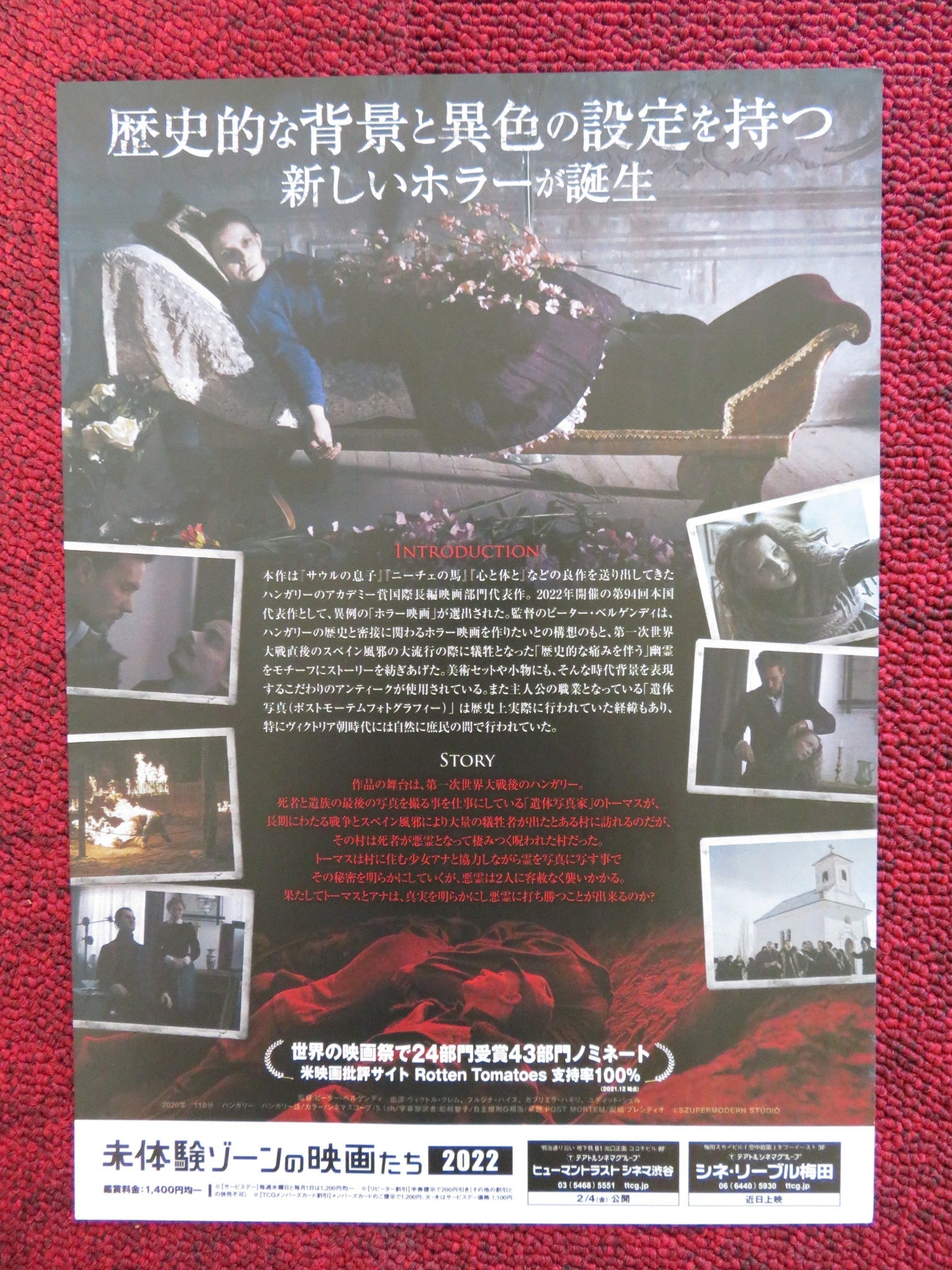 POST MORTEM JAPANESE CHIRASHI (B5) POSTER VIKTOR KLEM FRUZSINA HAIS 2020 Rendezvous Cinema Movie posters