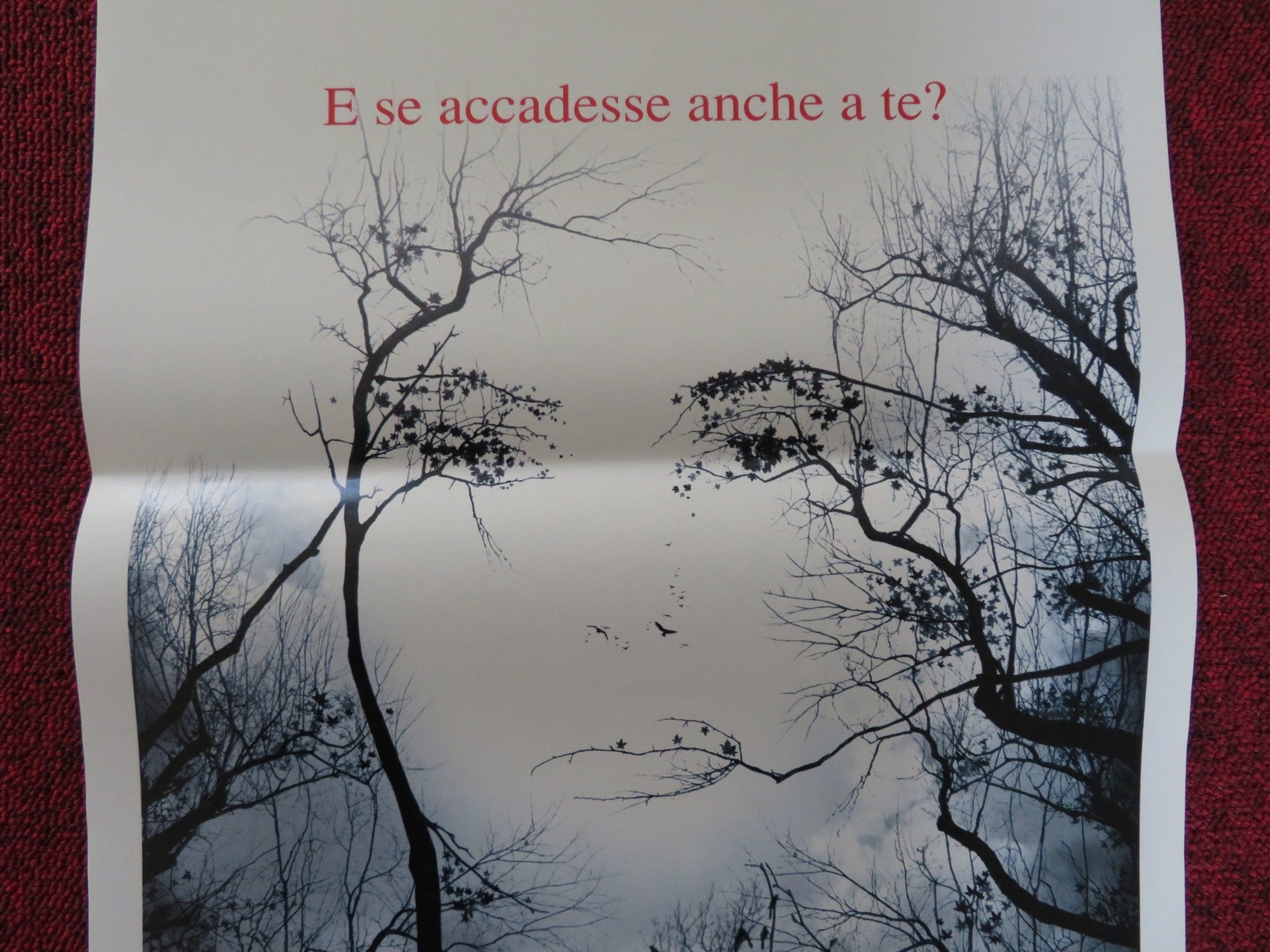 PREMONITION ITALIAN LOCANDINA POSTER SANDRA BULLOCK JULIAN MCMAHON 2007 Rendezvous Cinema Movie posters