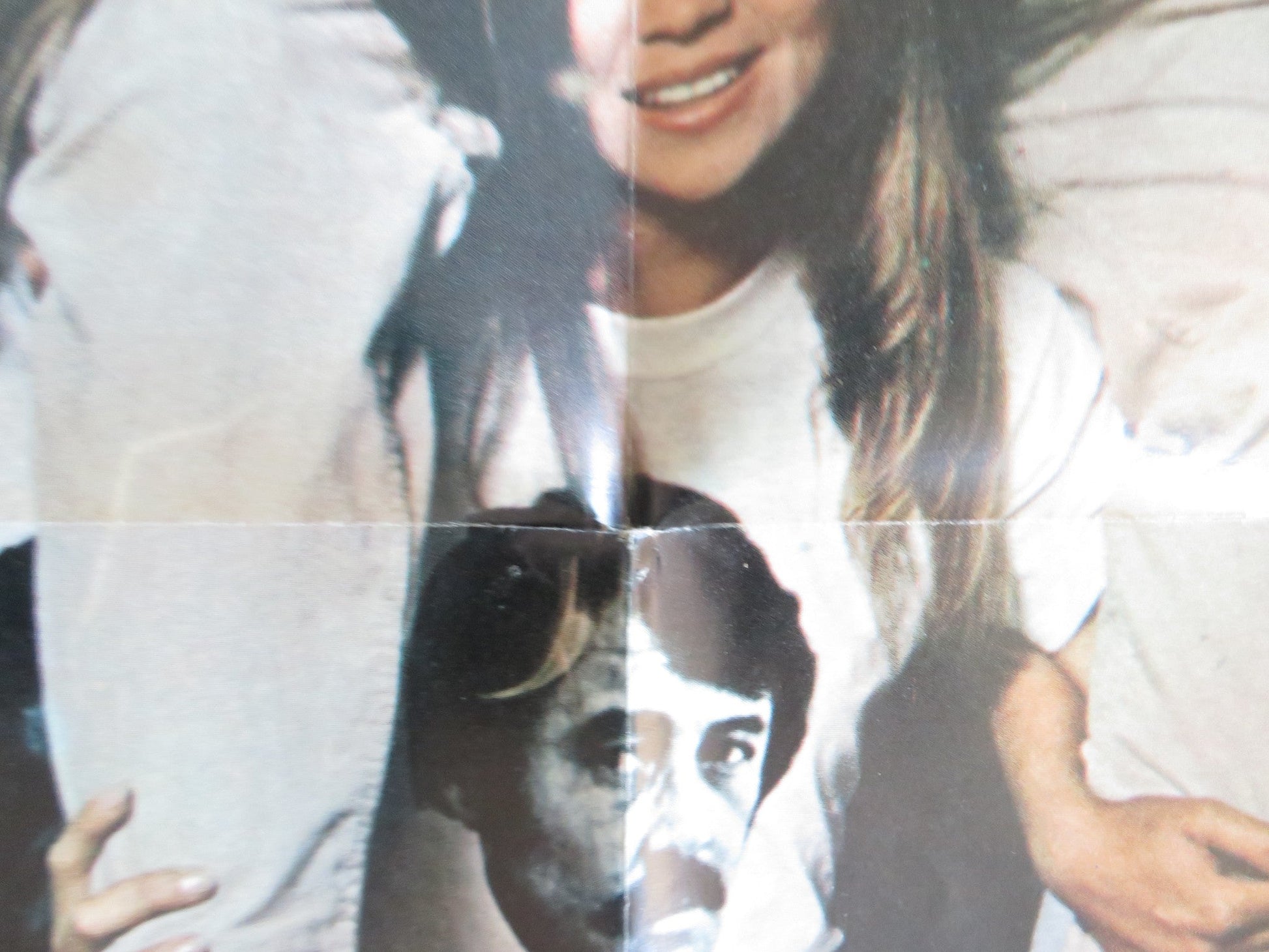 PRETTY MAIDS ALL IN A ROW FOLDED US ONE SHEET POSTER ROCK HUDSON 1971 Rendezvous Cinema Movie posters