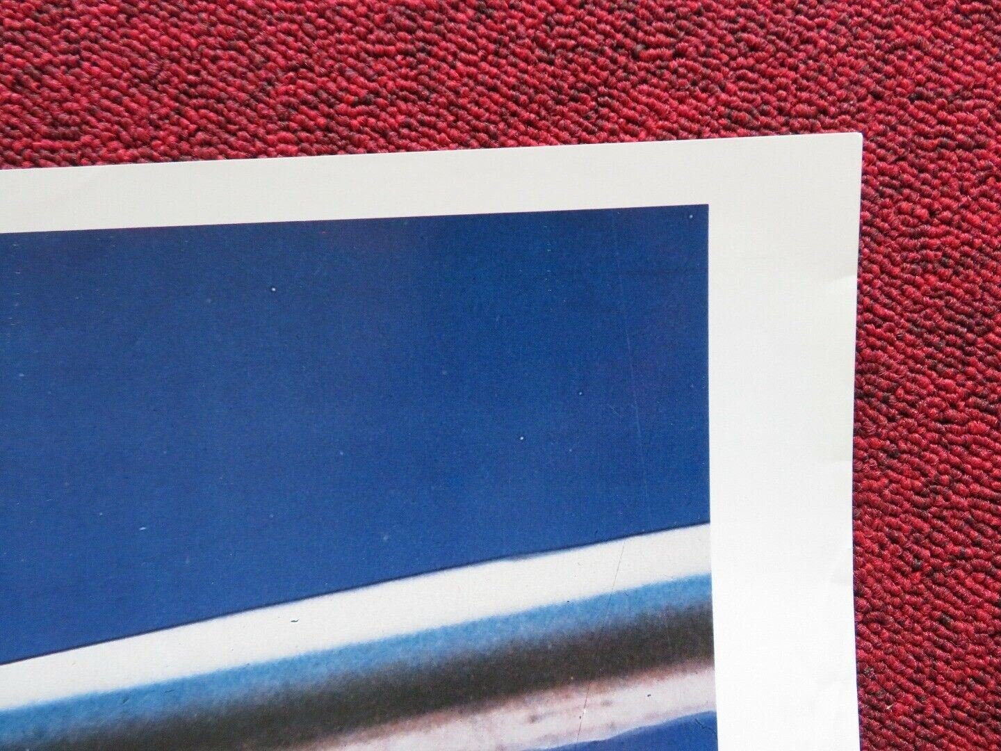 PRIME RISK US ONE SHEET ROLLED POSTER LEE MONTGOMERY TONI HUDSON 1985 Rendezvous Cinema Movie posters