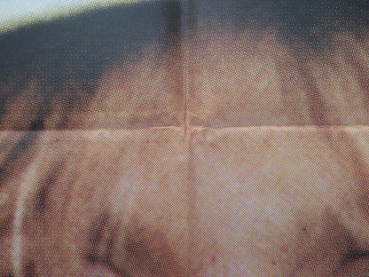 PRIVATE BENJAMIN ARGENTINA ONE SHEET POSTER GOLDIE HAWN EILEEN BRENNAN 1980 - Rendezvous Cinema