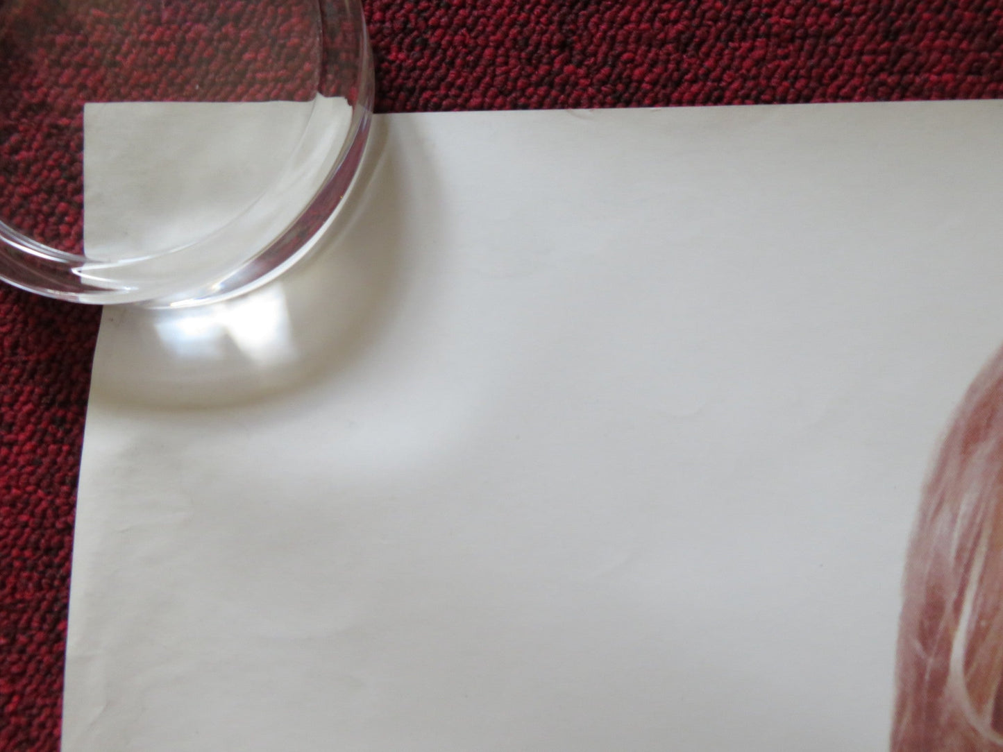 PRIVATE PARTS UK QUAD ROLLED POSTER HOWARD STERN ROBIN QUIVERS 1997 Rendezvous Cinema Movie posters