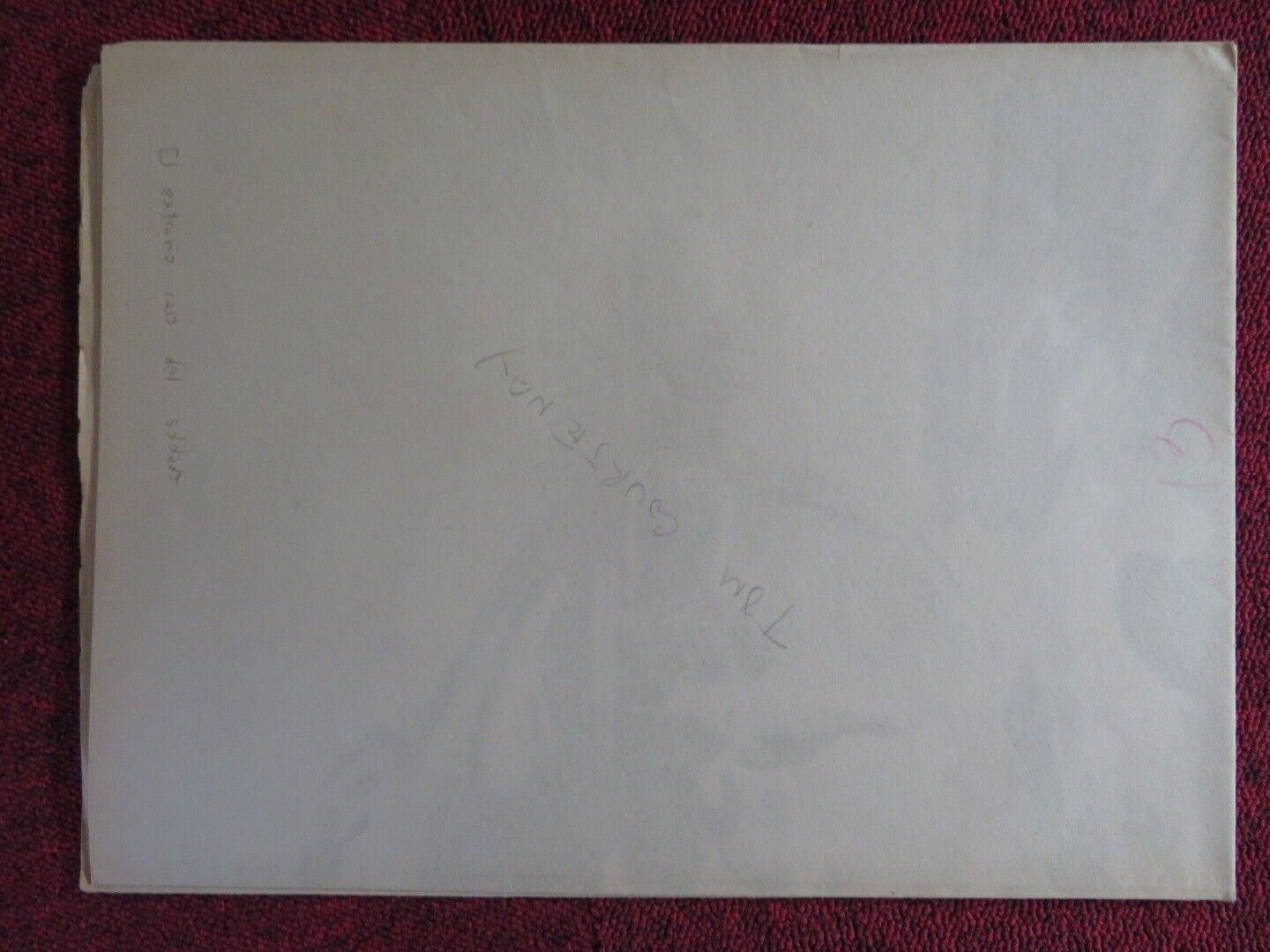 PRIVATE POTTER FOLDED ARGENTINA ONE SHEET POSTER TOM COURTENAY 1962 - Rendezvous Cinema