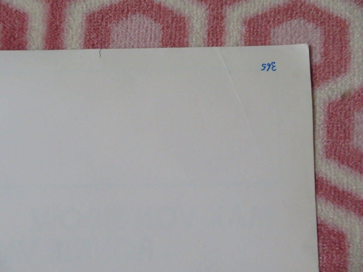 PROFESSIONE FIGLIO / Venetian Lies ITALIAN LOCANDINA (27.5"x13") POSTER 1979 Movie posters