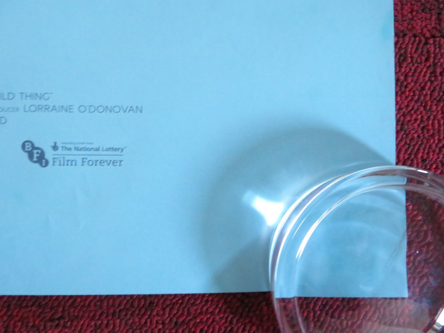 PROJECT WILD THING ROLLED 33" X 23.5" POSTER MICHAEL DEPLEDGE Rendezvous Cinema Movie posters