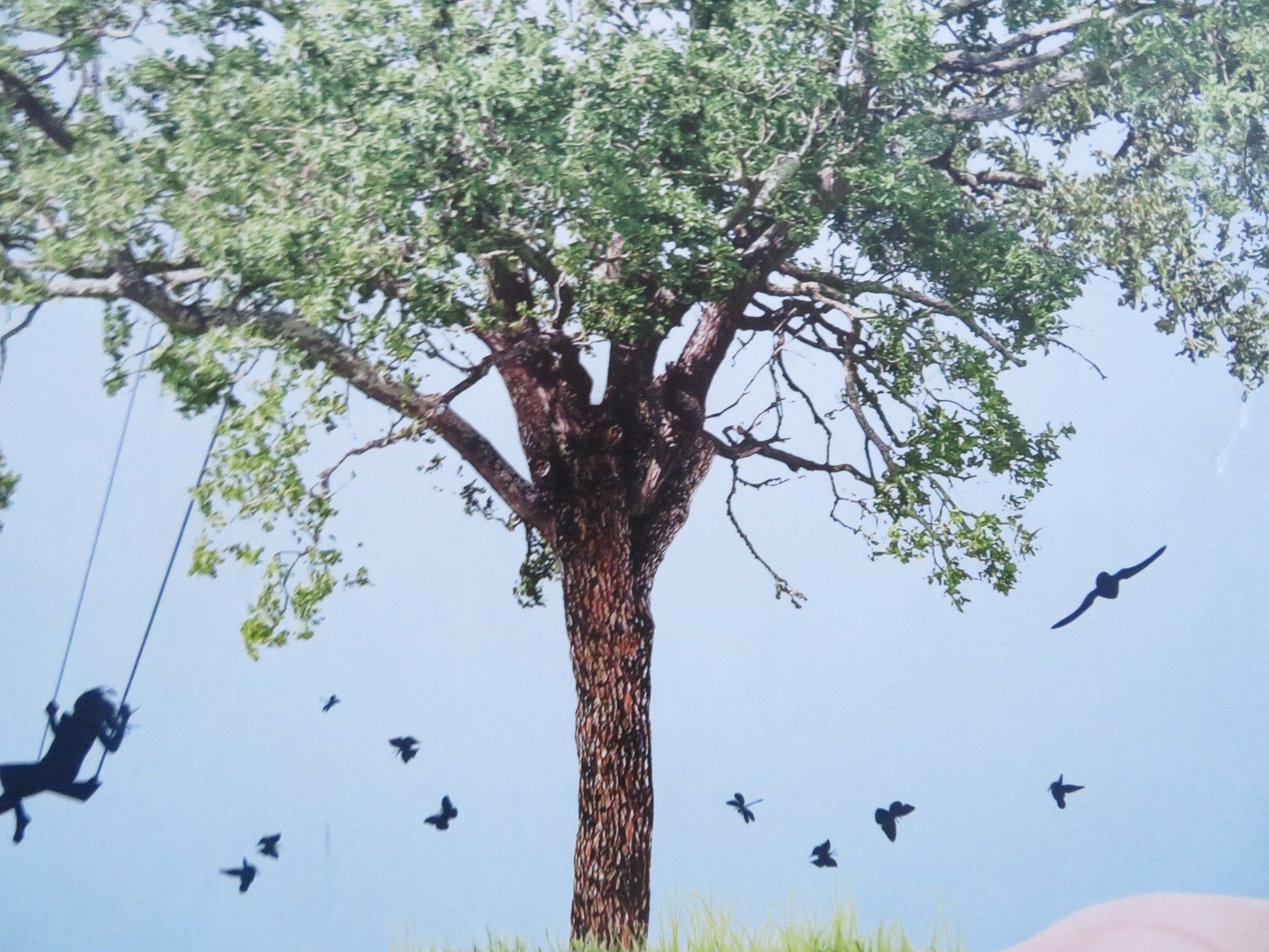 PROJECT WILD THING ROLLED 33" X 23.5" POSTER MICHAEL DEPLEDGE Rendezvous Cinema Movie posters