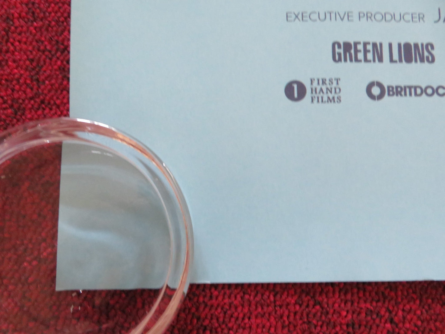 PROJECT WILD THING UK QUAD ROLLED POSTER MICHAEL DEPLEDGE 2013 Rendezvous Cinema Movie posters