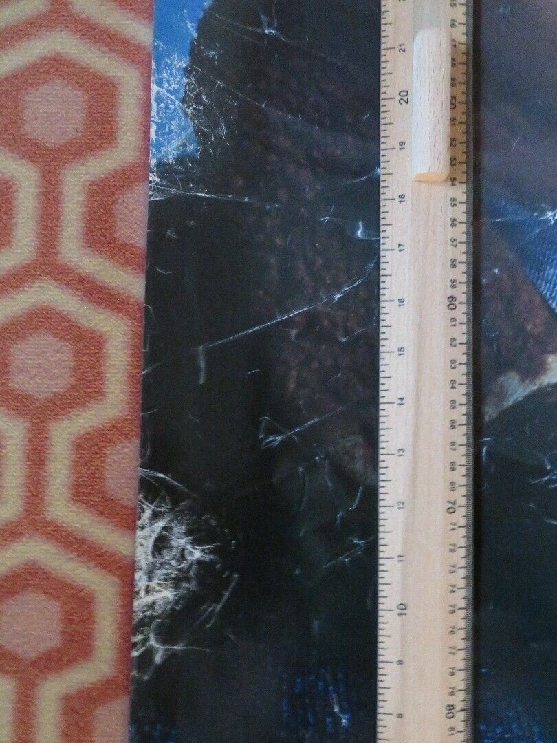 PROJECT X US ONE SHEET ROLLED POSTER MATTHEW BRODERICK 1987 Movie posters