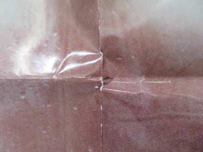 PSYCHO ARGENTINA FOLDED ONE SHEET POSTER 39.5" x 26.5" VINCE VAUGHN MOORE 1998 - Rendezvous Cinema