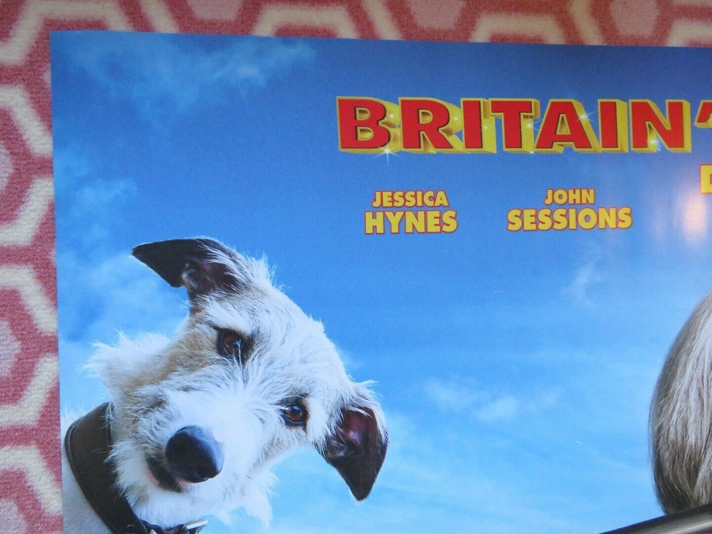 PUDSEY THE DOG THE MOVIE QUAD (30"x 40") ROLLED POSTER DAVID WALLIAMS 2014 Rendezvous Cinema Movie posters