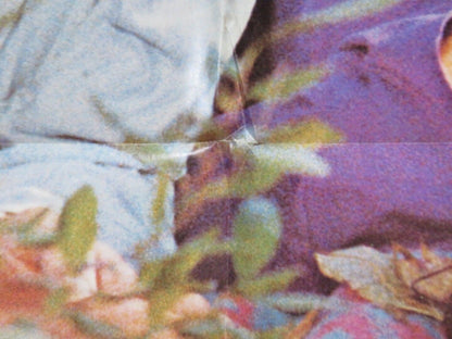 PURSUIT OF HAPPINESS US ONE SHEET POSTER MICHAEL SARRAZIN BARBARA HERSHEY 1970 Movie posters