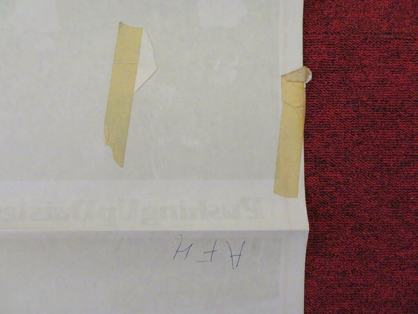 PUSHING UP DAISIES FOLDED AUSTRALIAN DAYBILL POSTER ROSS HAGEN HOKE HOWELL 1973 Movie posters