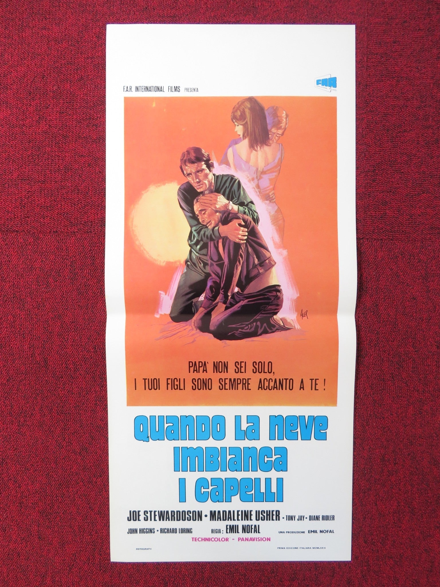 QUANDO LA NEVE IMBIANCA I CAPELLI ITALIAN LOCANDINA POSTER JOE STEWARDOSON 1974 Rendezvous Cinema Movie posters