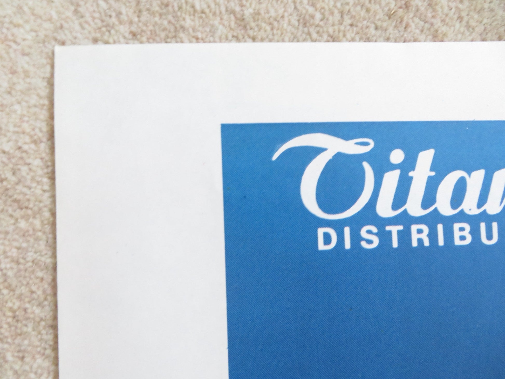 QUEL RAGAZZO DELLA CURVA B ITALIAN 2 FOGLIO POSTER NINO D'ANGELO 1987 Rendezvous Cinema Movie posters