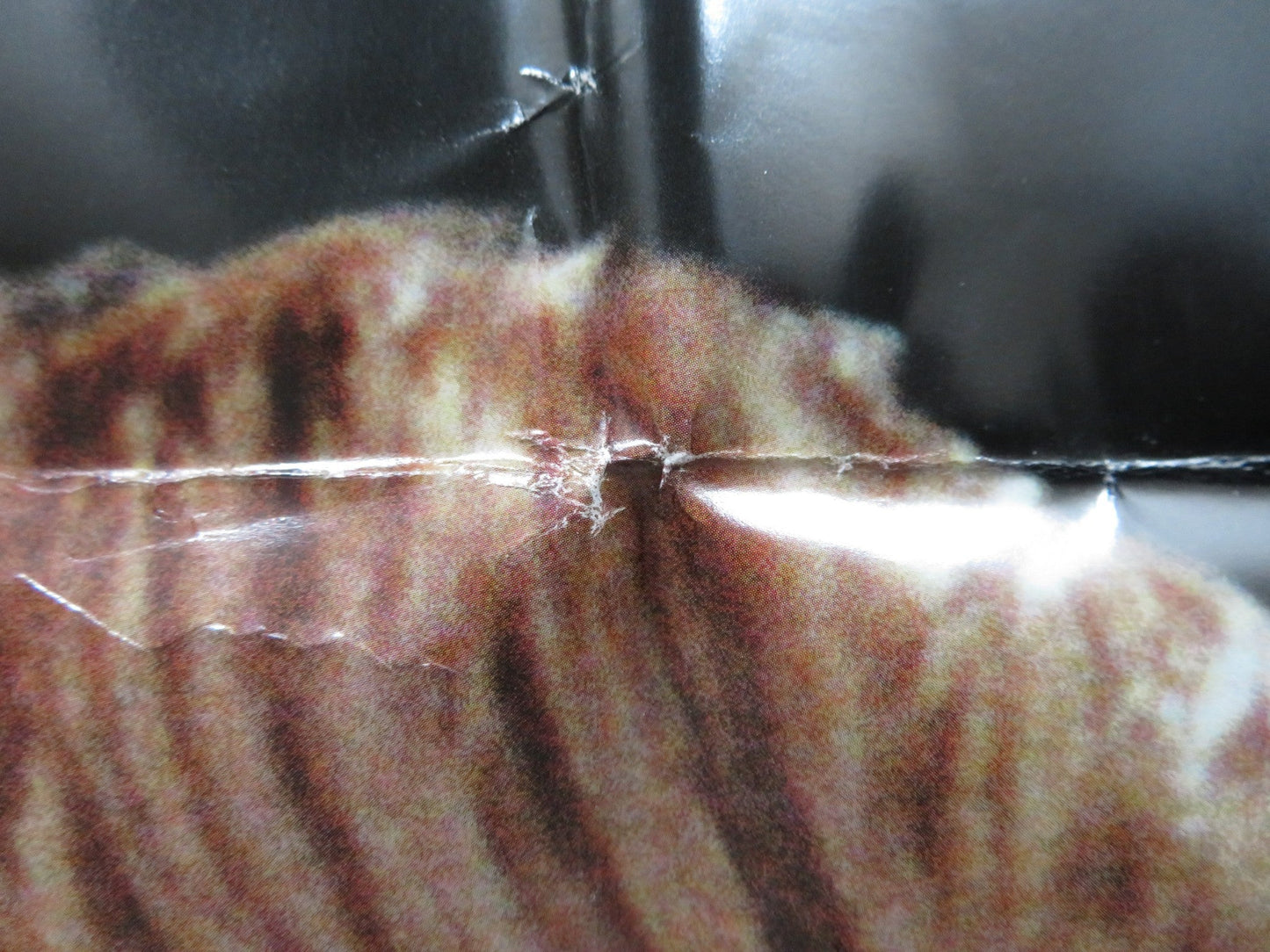 QUIZ SHOW FOLDED US ONE SHEET POSTER JOHN TURTRRO ROB MORROW 1994 Rendezvous Cinema Movie posters