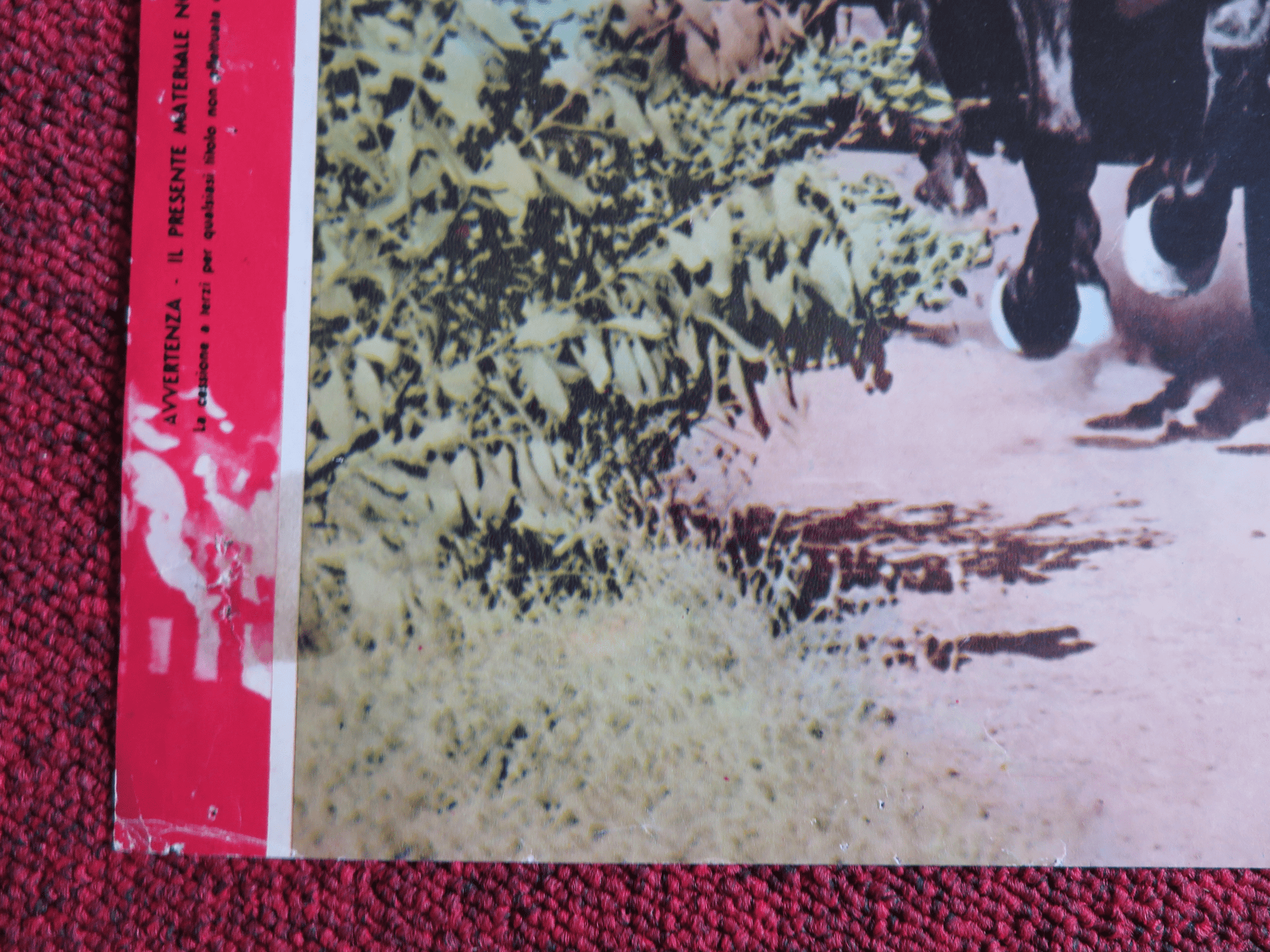 QUO VADIS ITALIAN FOTOBUSTA POSTER ROBERT TAYLOR DEBORAH KERR 1951 Rendezvous Cinema Movie posters