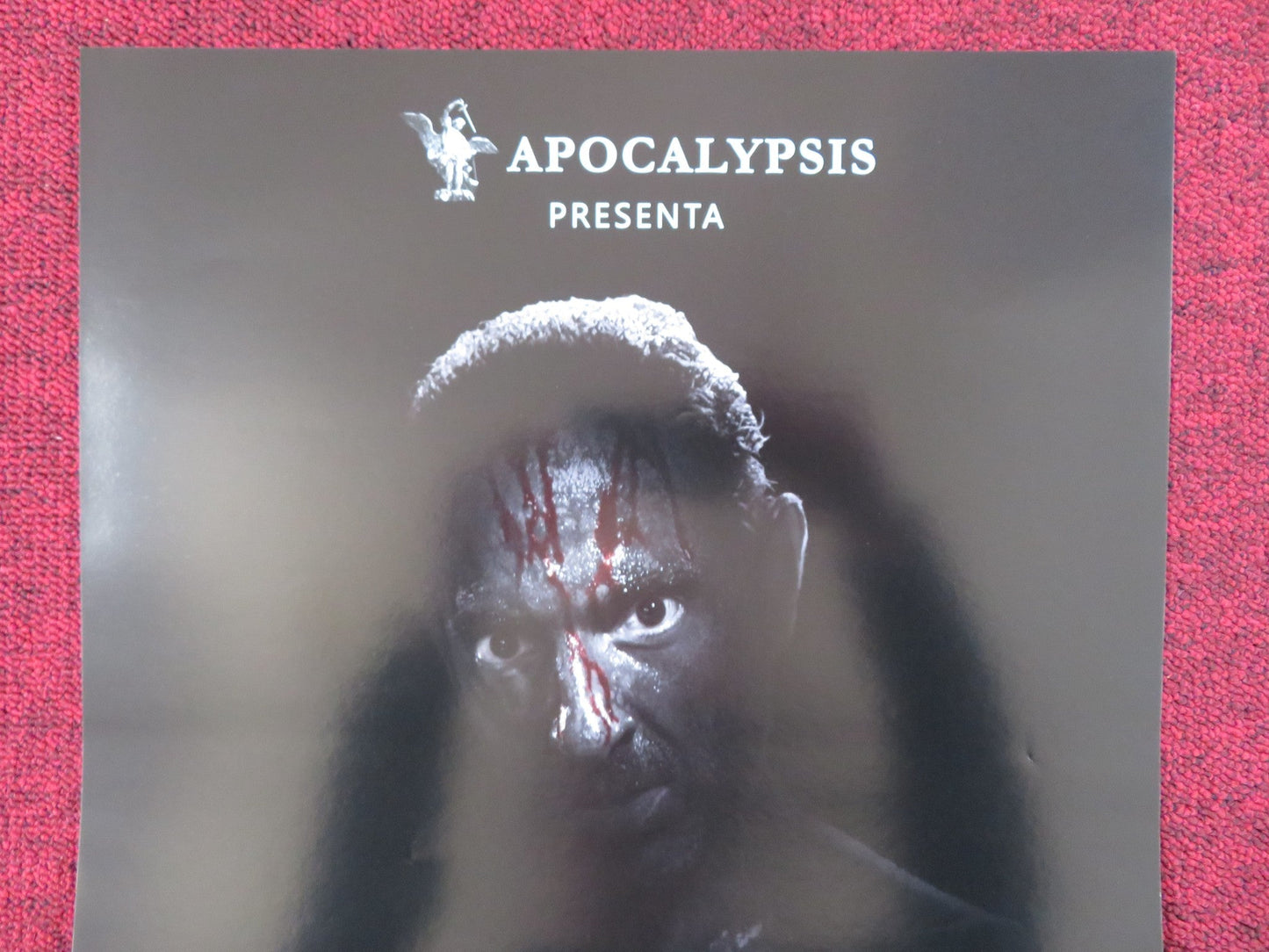 RABBIA FURIOSA - ER CANARO ITALIAN LOCANDINA POSTER RICCARDO DE FILIPPIS 2018 Rendezvous Cinema Movie posters