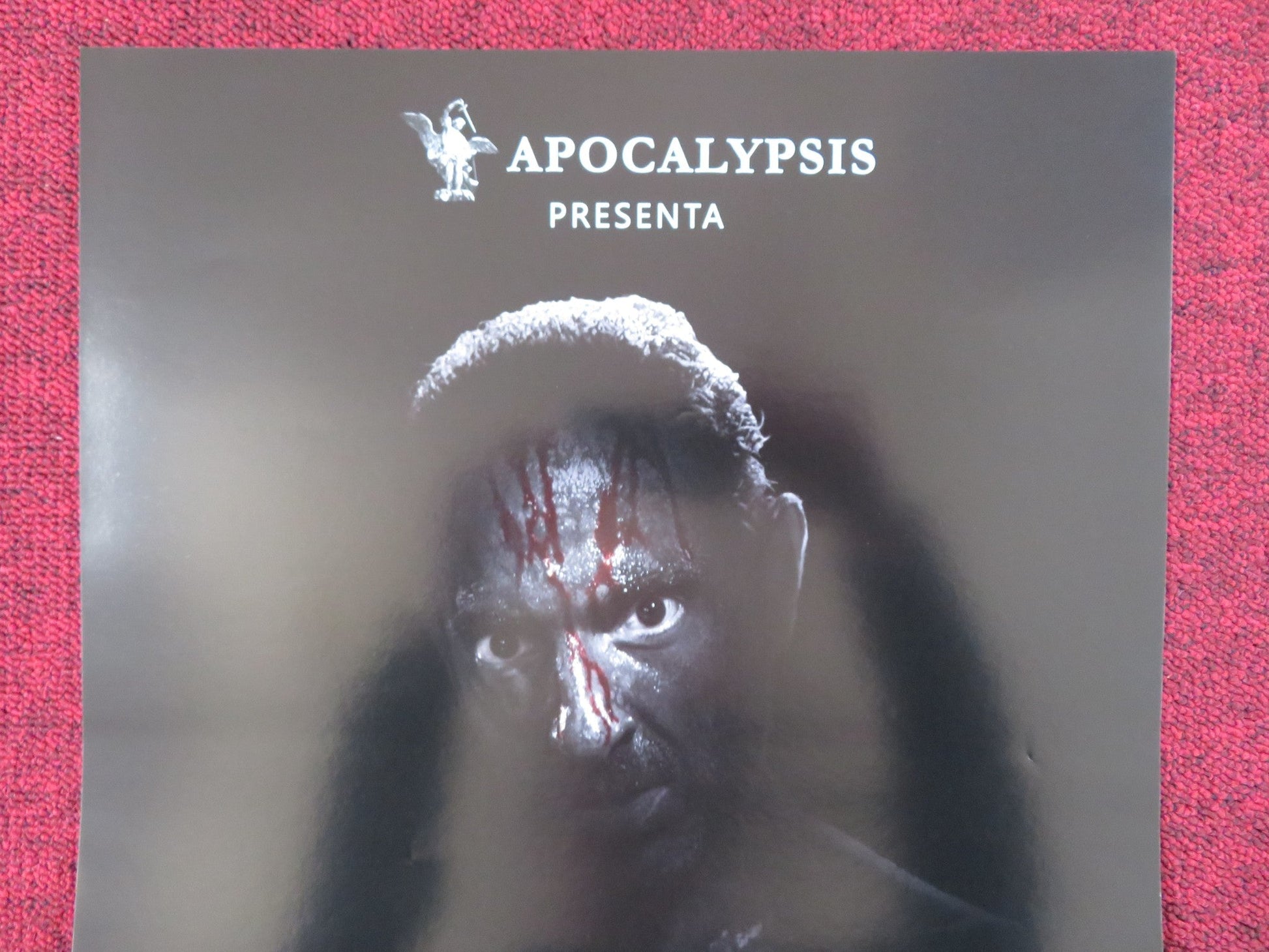 RABBIA FURIOSA - ER CANARO ITALIAN LOCANDINA POSTER RICCARDO DE FILIPPIS 2018 Rendezvous Cinema Movie posters