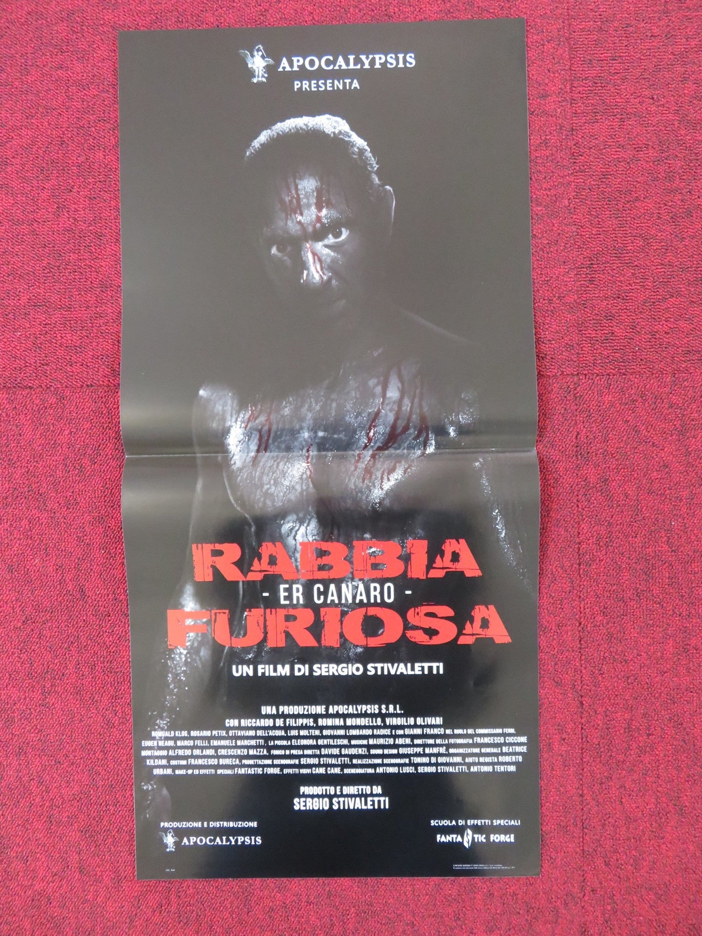RABBIA FURIOSA - ER CANARO ITALIAN LOCANDINA POSTER RICCARDO DE FILIPPIS 2018 Rendezvous Cinema Movie posters