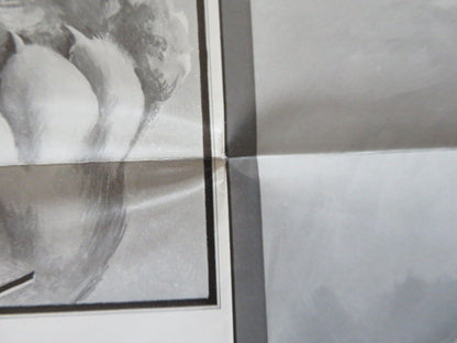 RABBIT TEST FOLDED US ONE SHEET POSTER BILLY CHIRSTAL JOAN RIVERS 1973 Movie posters