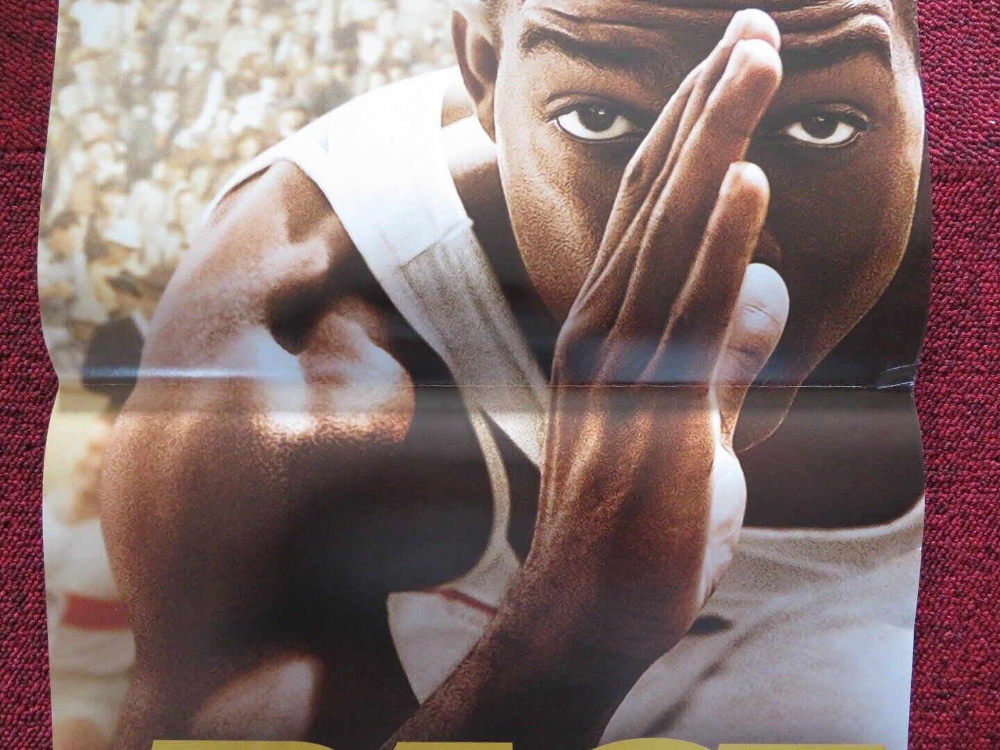 RACE ITALIAN LOCANDINA (27.5"x12.5") POSTER STEPHAN JAMES 2016 - Rendezvous Cinema