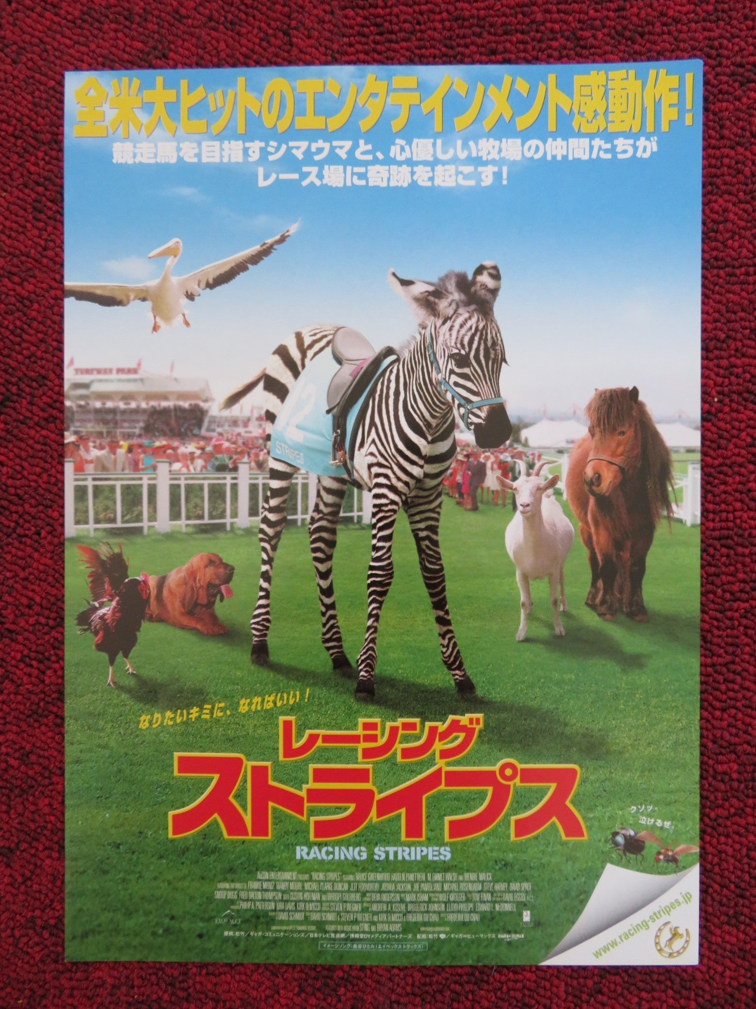 RACING STRIPES JAPANESE CHIRASHI (B5) POSTER BRUCE GREENWOOD H. PANETTIERE 2005 Rendezvous Cinema Movie posters