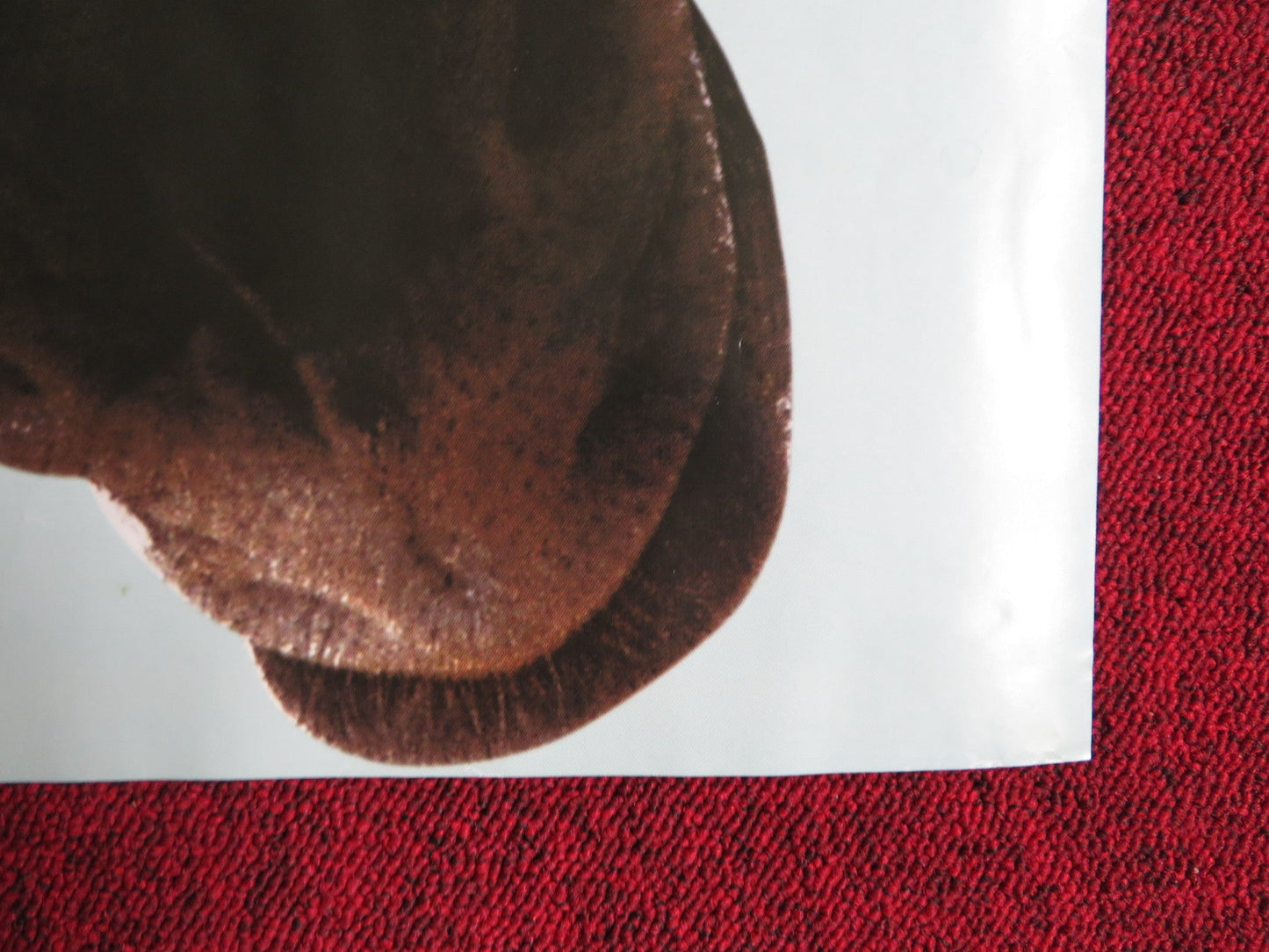 RACING STRIPES UK QUAD (30"x 40") ROLLED POSTER SNOOP DOG DUSTIN HOFFMAN 2005 Rendezvous Cinema Movie posters