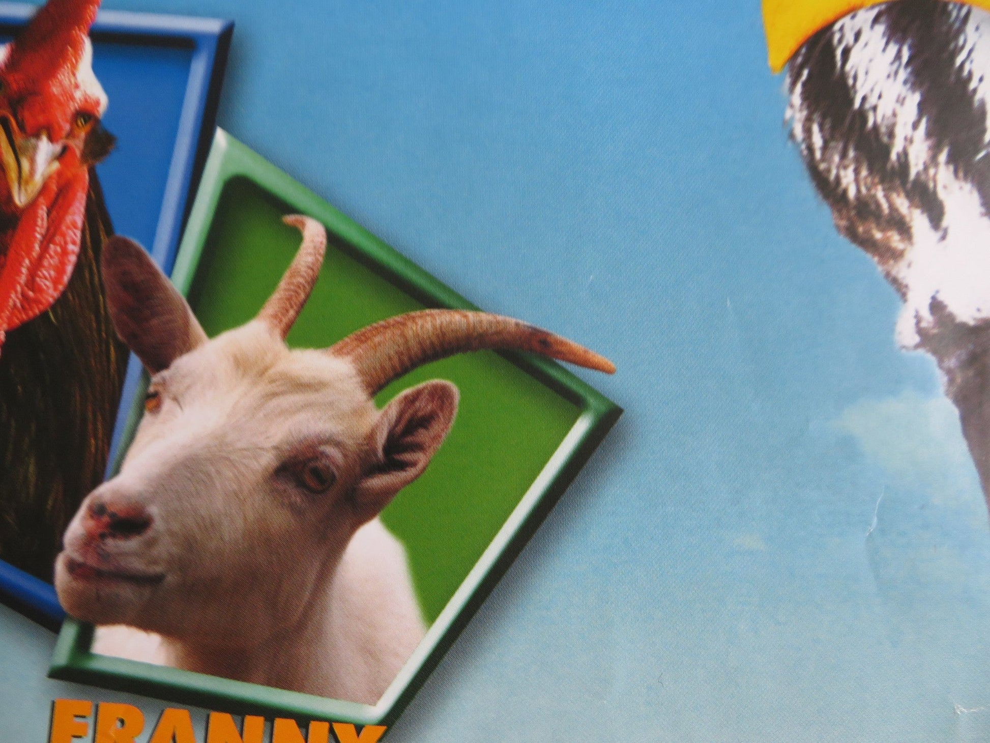 RACING STRIPES UK QUAD (30"x 40") ROLLED POSTER SNOOP DOG DUSTIN HOFFMAN 2005 Rendezvous Cinema Movie posters