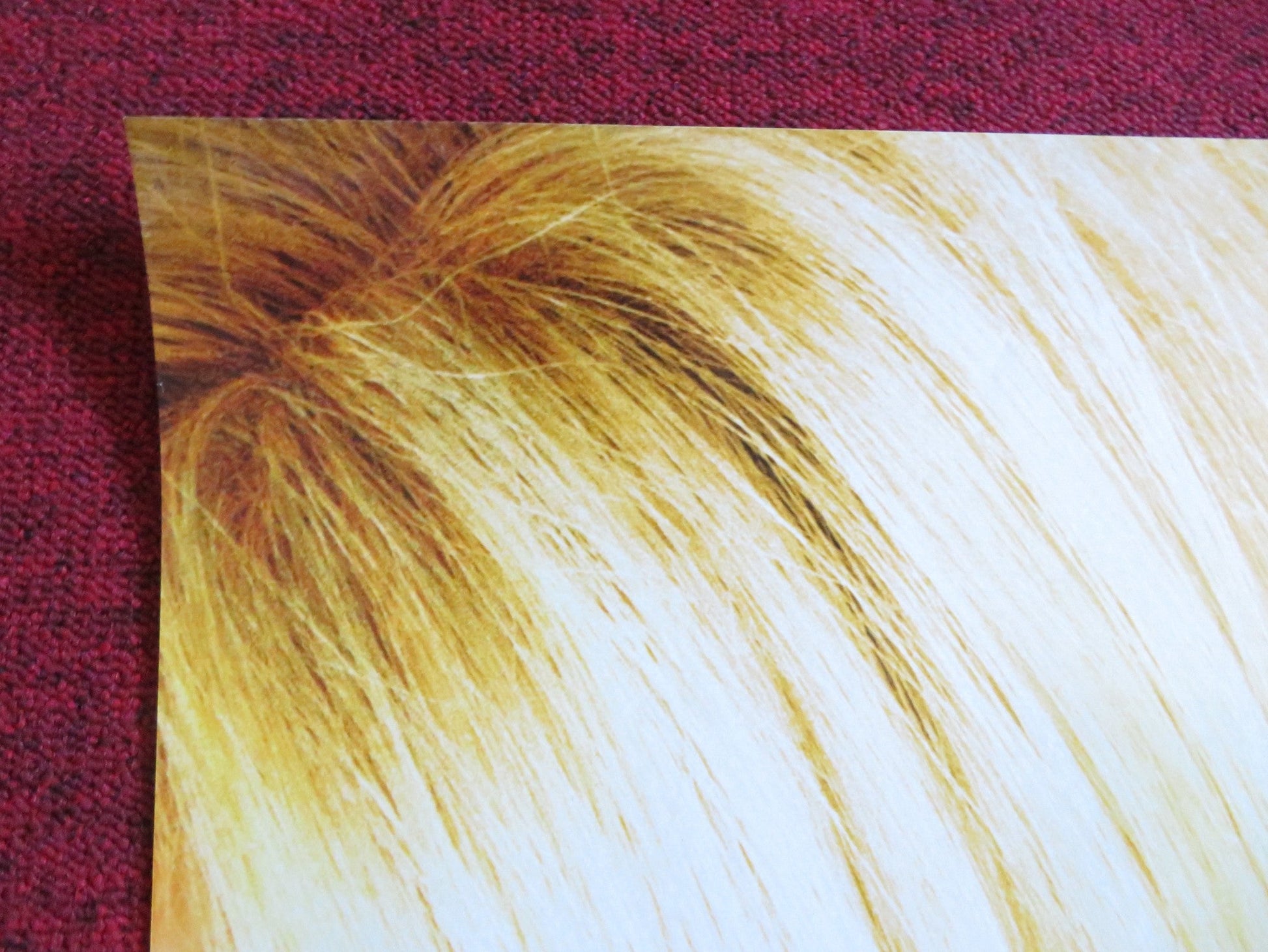 RAISE YOUR VOICE US ONE SHEET ROLLED POSTER HILARY DUFF OLIVER JAMES 2004 Rendezvous Cinema Movie posters