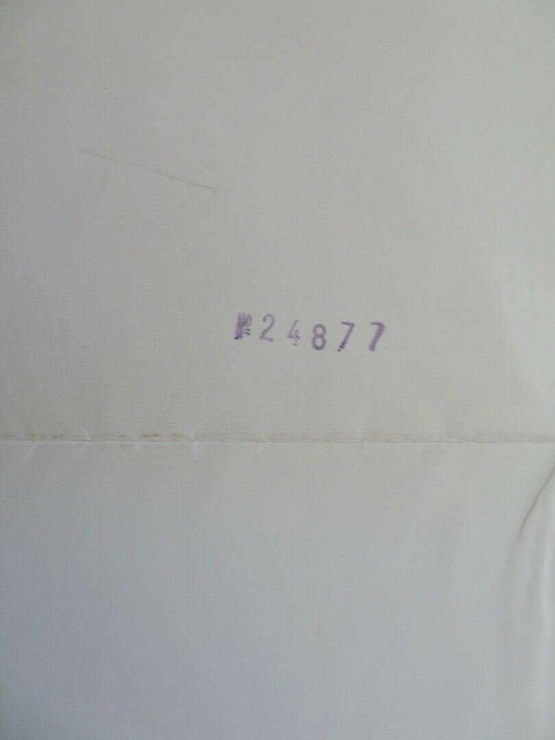 RASENDE GEWALT/ Moving Violation GERMAN A1 ROLLED POSTER STEPHEN MCHATTIE '76 Movie posters