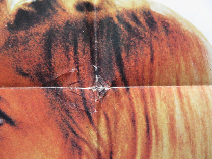 RED SKY AT MORNING US ONE SHEET POSTER RICHARD THOMAS CATHERINE BURNS 1971 Movie posters