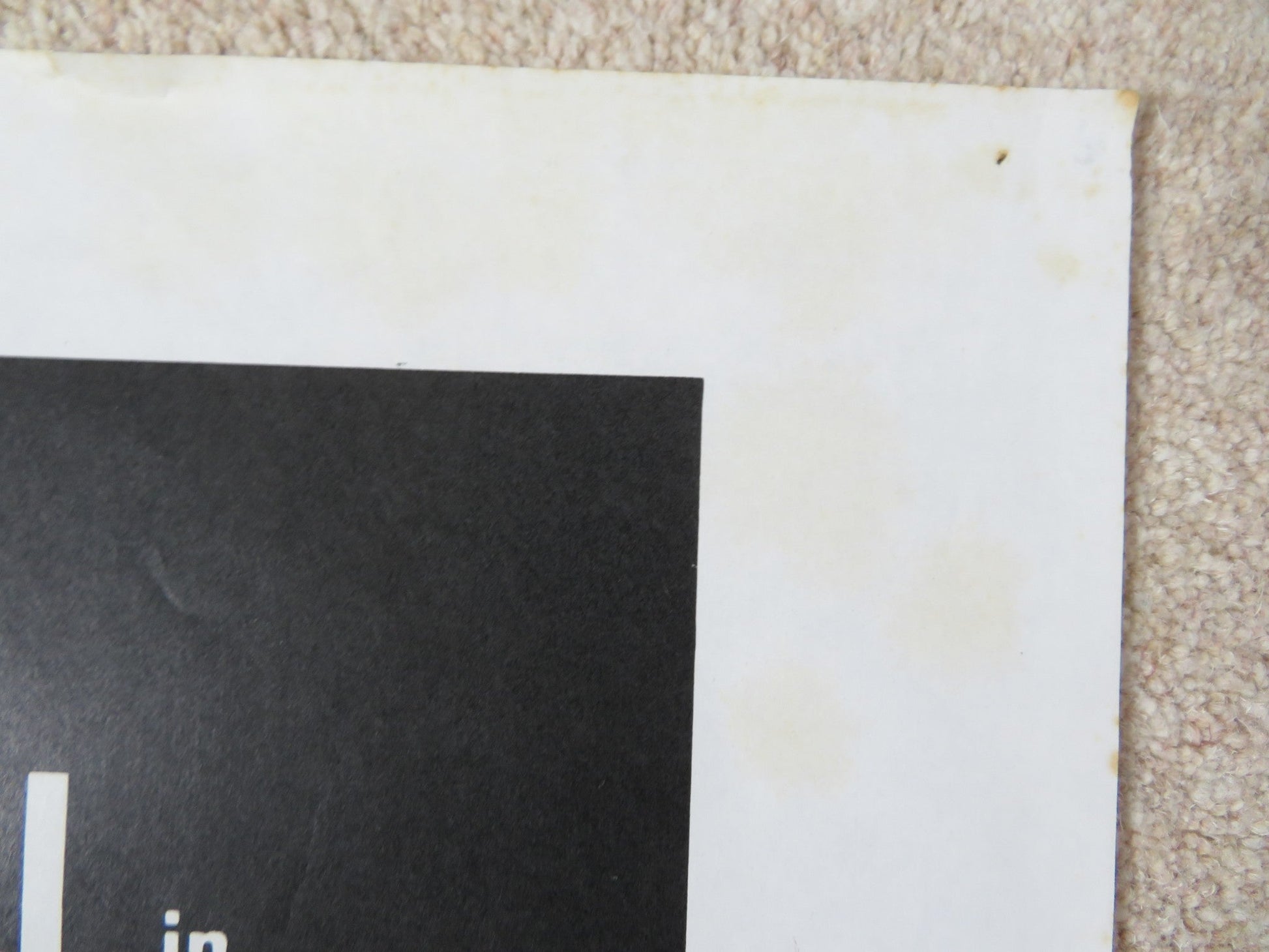 RENE THE CANE ITALIAN 2 FOGLIO POSTER GERARD DEPARDIEU SYLVIA KRISTEL 1977 Rendezvous Cinema Movie posters