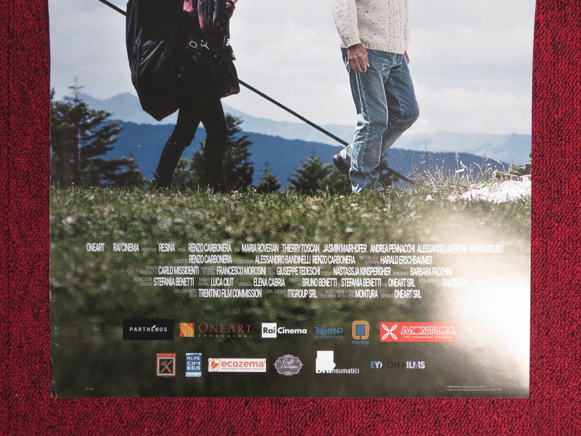 RESINA ITALIAN LOCANDINA POSTER MARIA ROVERAN THIERRY TOSCAN 2017 Rendezvous Cinema Movie posters