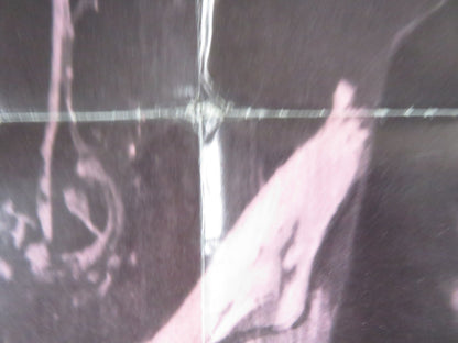 RETURN FROM THE ASHES FOLDED US ONE SHEET POSTER MAXIMILIAN SCHELL S. EGGAR 1965 Rendezvous Cinema Movie posters