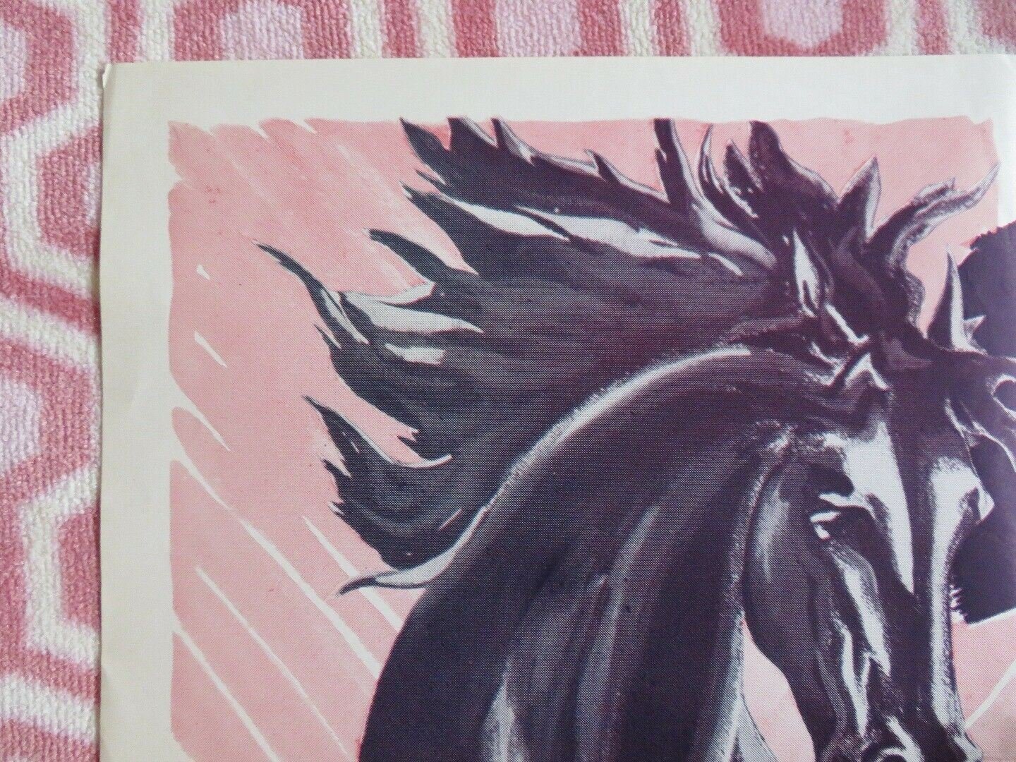 RETURN OF WILD FIRE / BLACK STALLON US ONE SHEET POSTER RICHARD ARLEN 1948 Movie posters