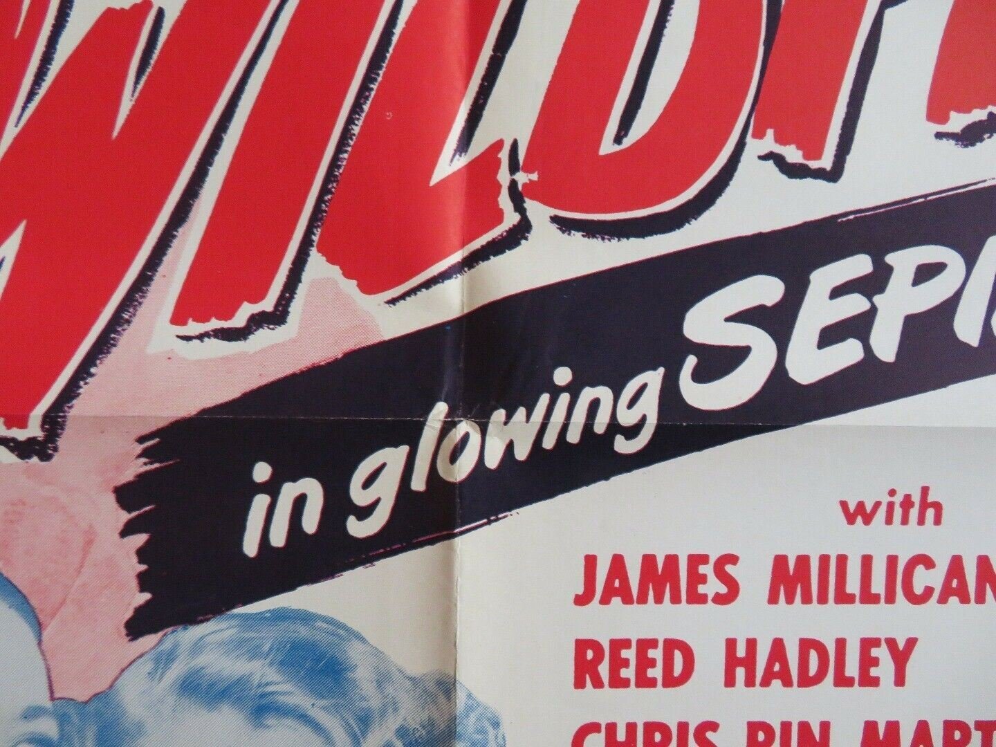 RETURN OF WILD FIRE / BLACK STALLON US ONE SHEET POSTER RICHARD ARLEN 1948 Movie posters