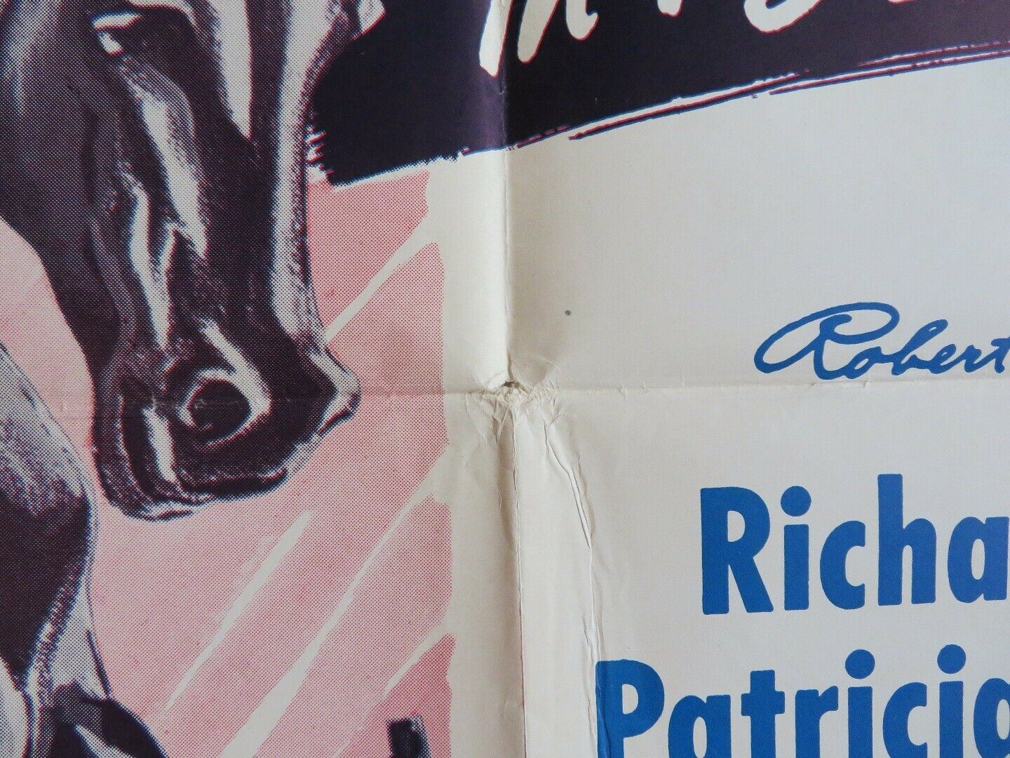 RETURN OF WILD FIRE / BLACK STALLON US ONE SHEET POSTER RICHARD ARLEN 1948 Movie posters