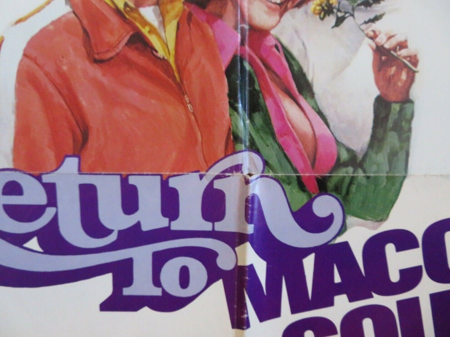 RETURN TO MACON COUNTRY US ONE SHEET POSTER NICK NOLTE DON JOHNSON 1975 Movie posters