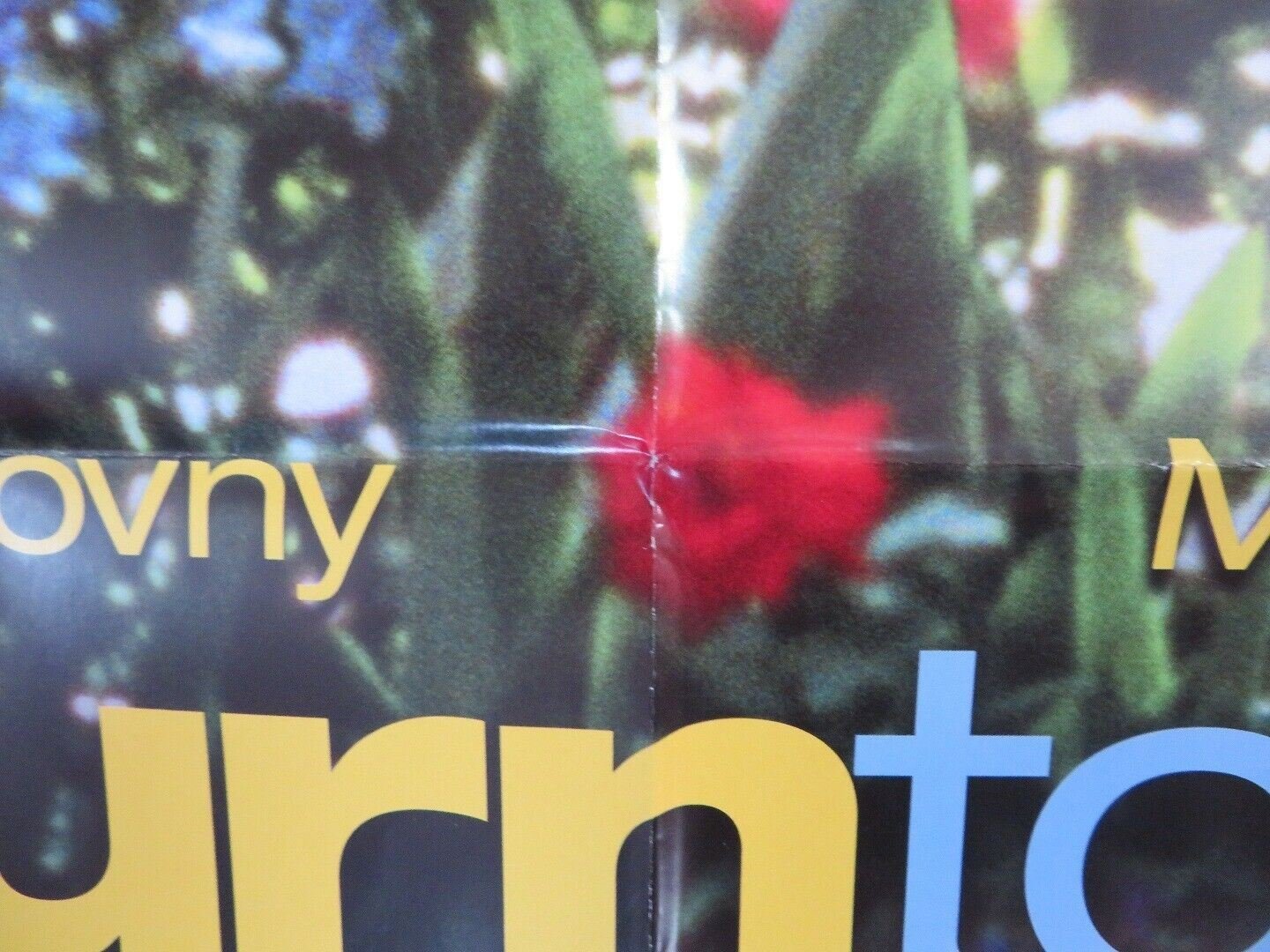 RETURN TO ME US ONE SHEET (27 x 41) POSTER MINNIE DRIVER DAVID DUCHOVNY 2000 Rendezvous Cinema Movie posters