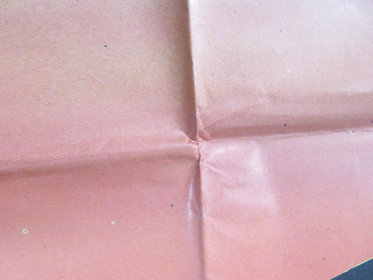 RETURN TO SNOWY RIVER ITALIAN 2 FOGLIO POSTER DISNEY TOM BURLINSON 1988 Rendezvous Cinema Movie posters