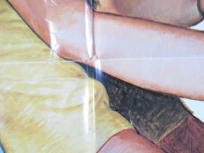 REVENGE OF THE CHEERLEADERS FOLDED US ONE SHEET POSTER JERII WOODS 1976 Rendezvous Cinema Movie posters