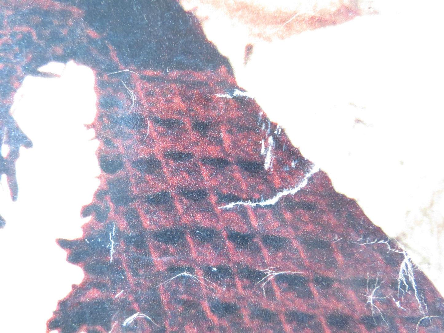 REVOLT OF THE SLAVES - E ITALIAN FOTOBUSTA POSTER R. FLEMING LANG JEFFRIES 1960 Rendezvous Cinema Movie posters