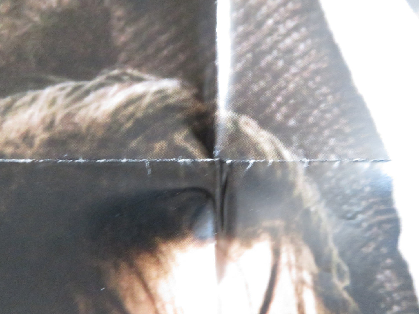 REVOLUTION FOLDED US ONE SHEET POSTER AL PACINO DONALD SUTHERLAND 1985 Rendezvous Cinema Movie posters