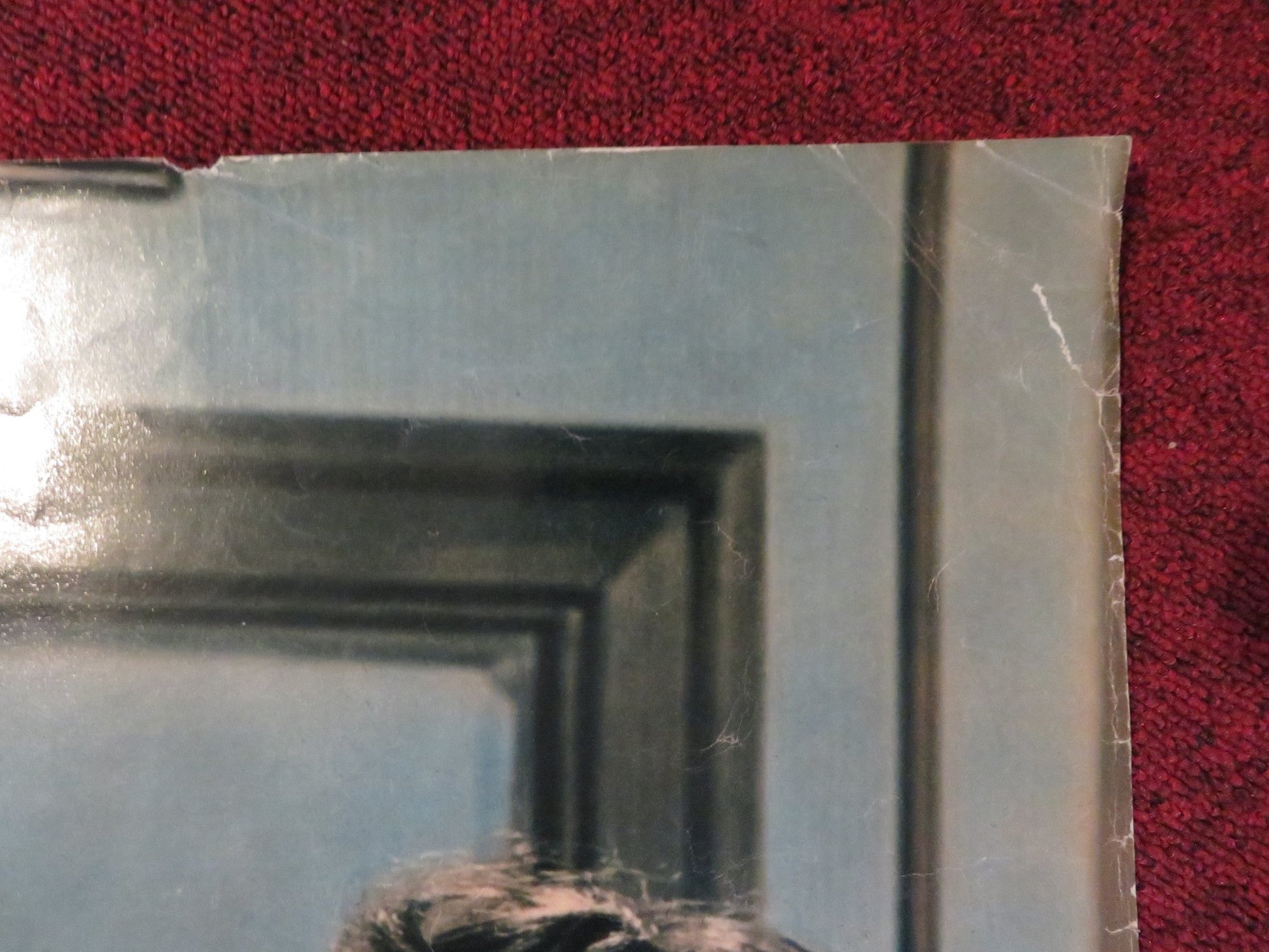 RHAPSODY ITALIAN FOTOBUSTA POSTER ELIZABETH TAYLOR VITTORIO GASSMAN 1954 Rendezvous Cinema Movie posters