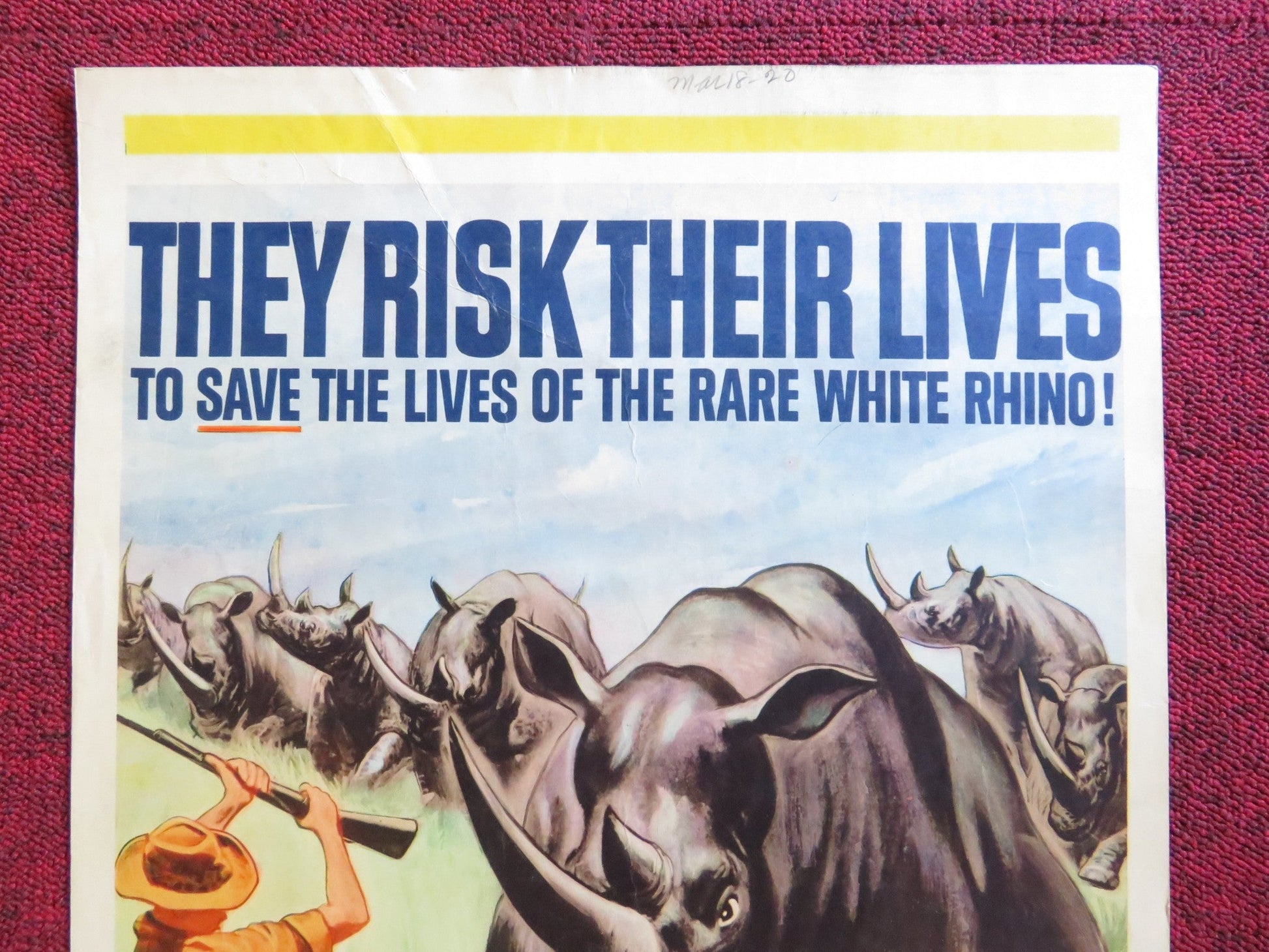 RHINO! US INSERT (14"x 36") POSTER HARRY GUARDINO SHIRLEY EATON 1964 Rendezvous Cinema Movie posters