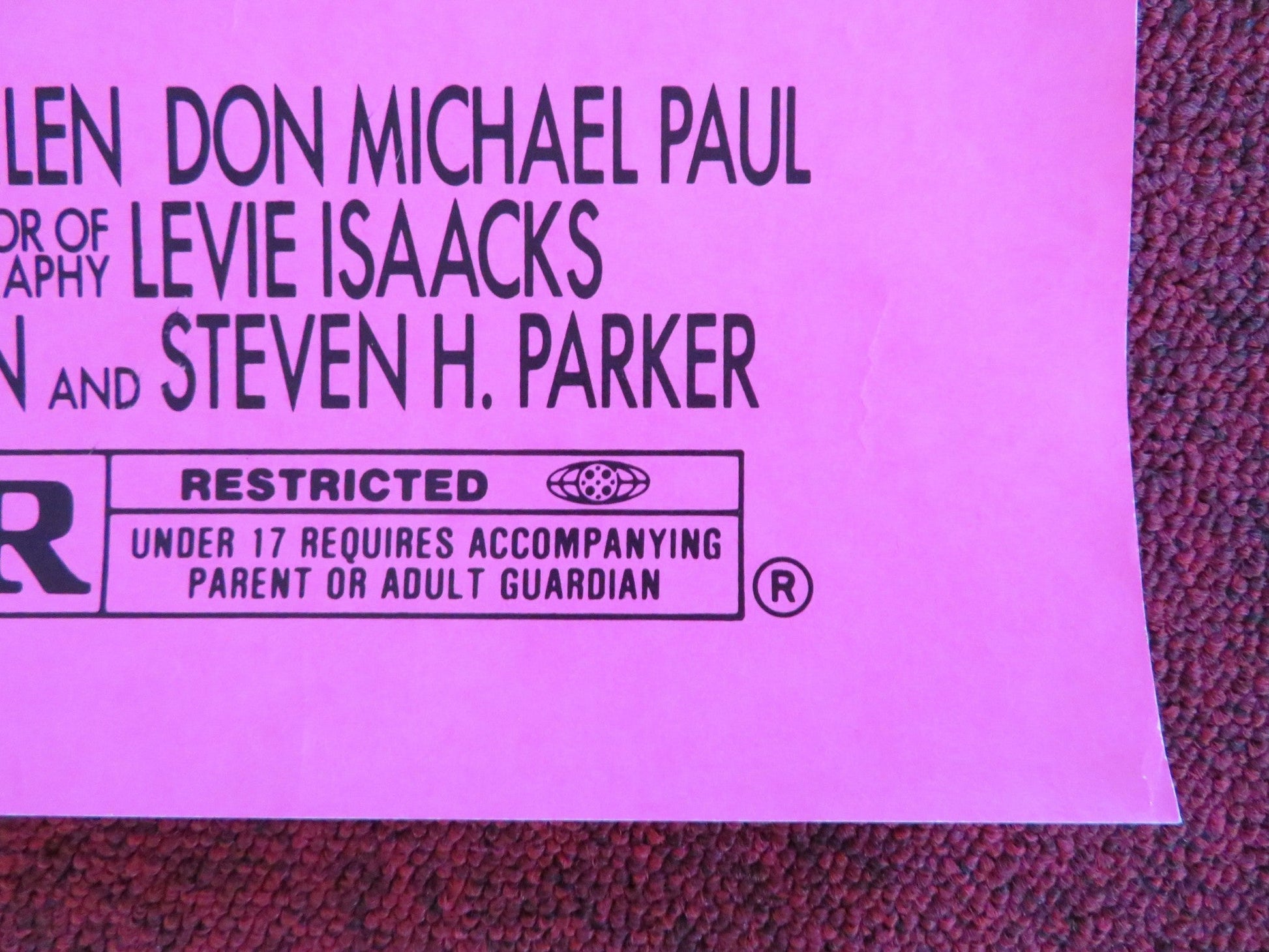 RICH GIRL FOLDED US ONE SHEET POSTER JILL SCHOELEN DON MICHAEL PAUL 1991 Rendezvous Cinema Movie posters